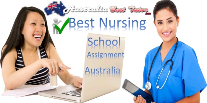 Best Nursing School Assignment
